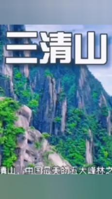 缤纷水果茶