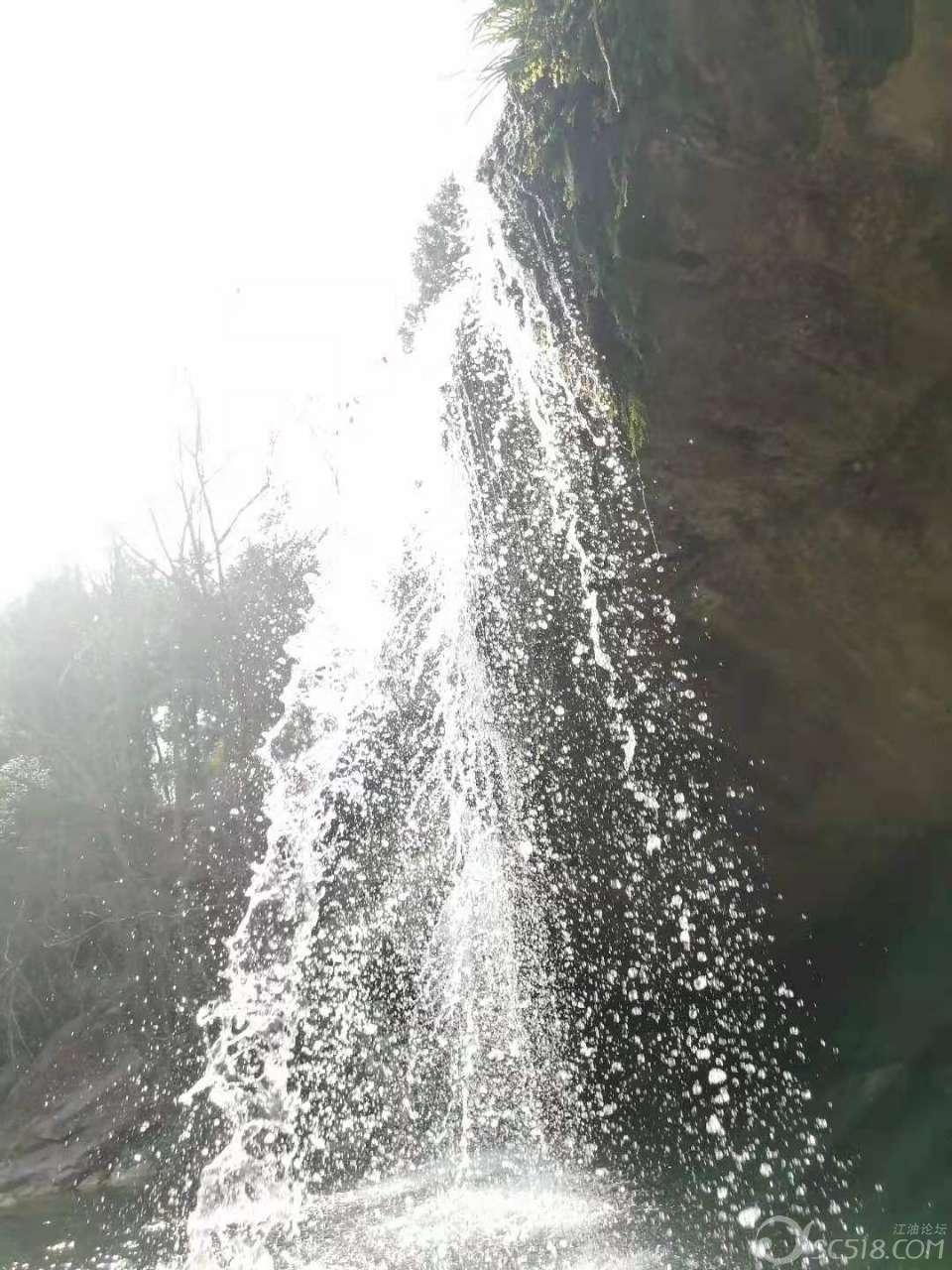 虫虫助手下载