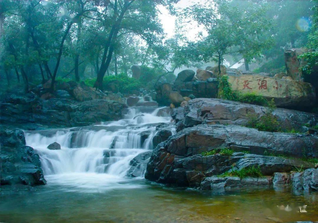 现在市面上还有售的龙张凤刘乒乓球拍吗？游戏画面